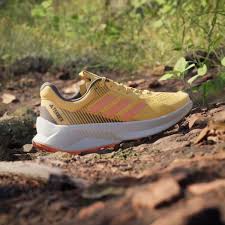 adidas chaussure trail