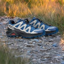 chaussures salomon running