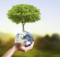 la protection de l environnement