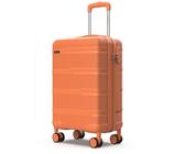 valise souple 55x40x20