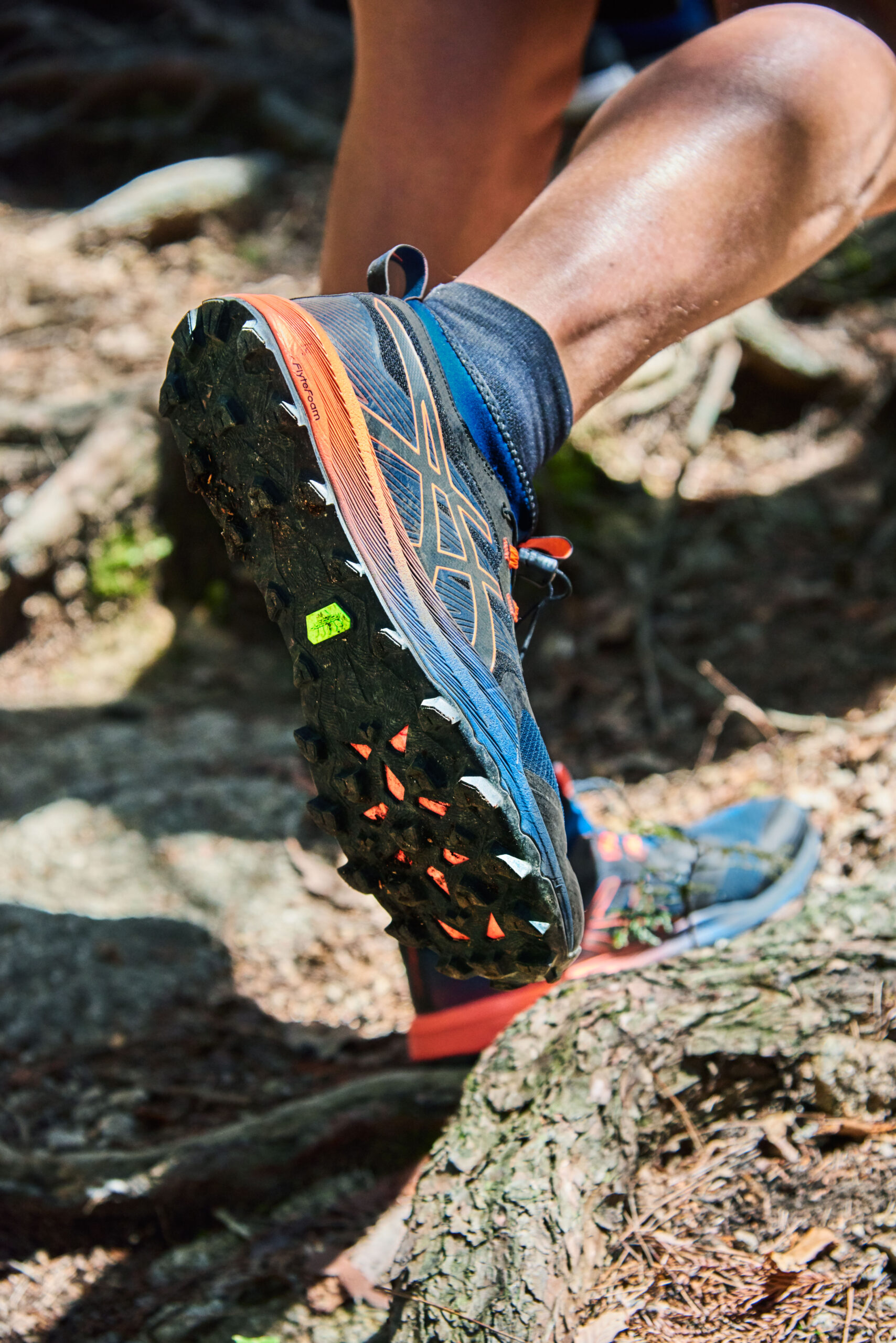 nouvelle chaussure trail