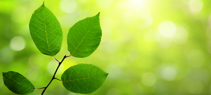 environmental
